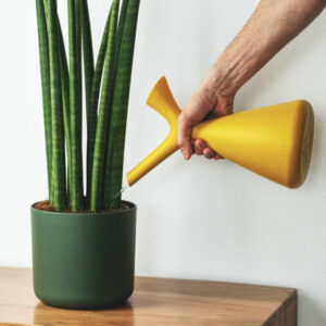 plants shop product gallery img 9