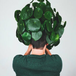 plants store gallery img 3